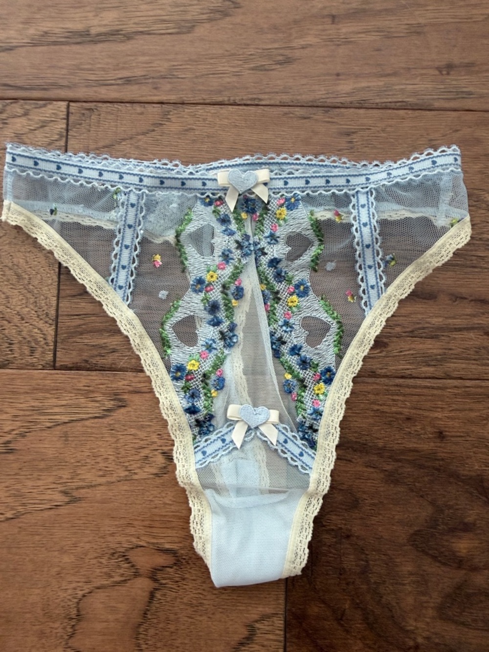 For Love And Lemons Light Blue Floral Embroidered Lace Thong Panty NWOT